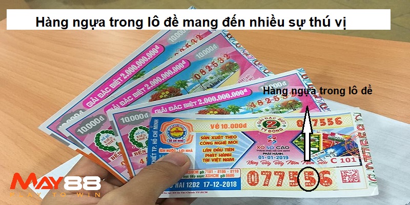 Hàng ngựa trong lô đề mang đến nhiều sự thú vị