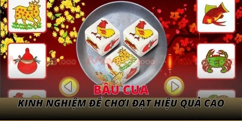 Bầu cua Kinh nghiệm để chơi đạt hiệu quả cao