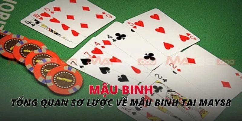 Tổng quan sơ lược về mậu binh tại May88